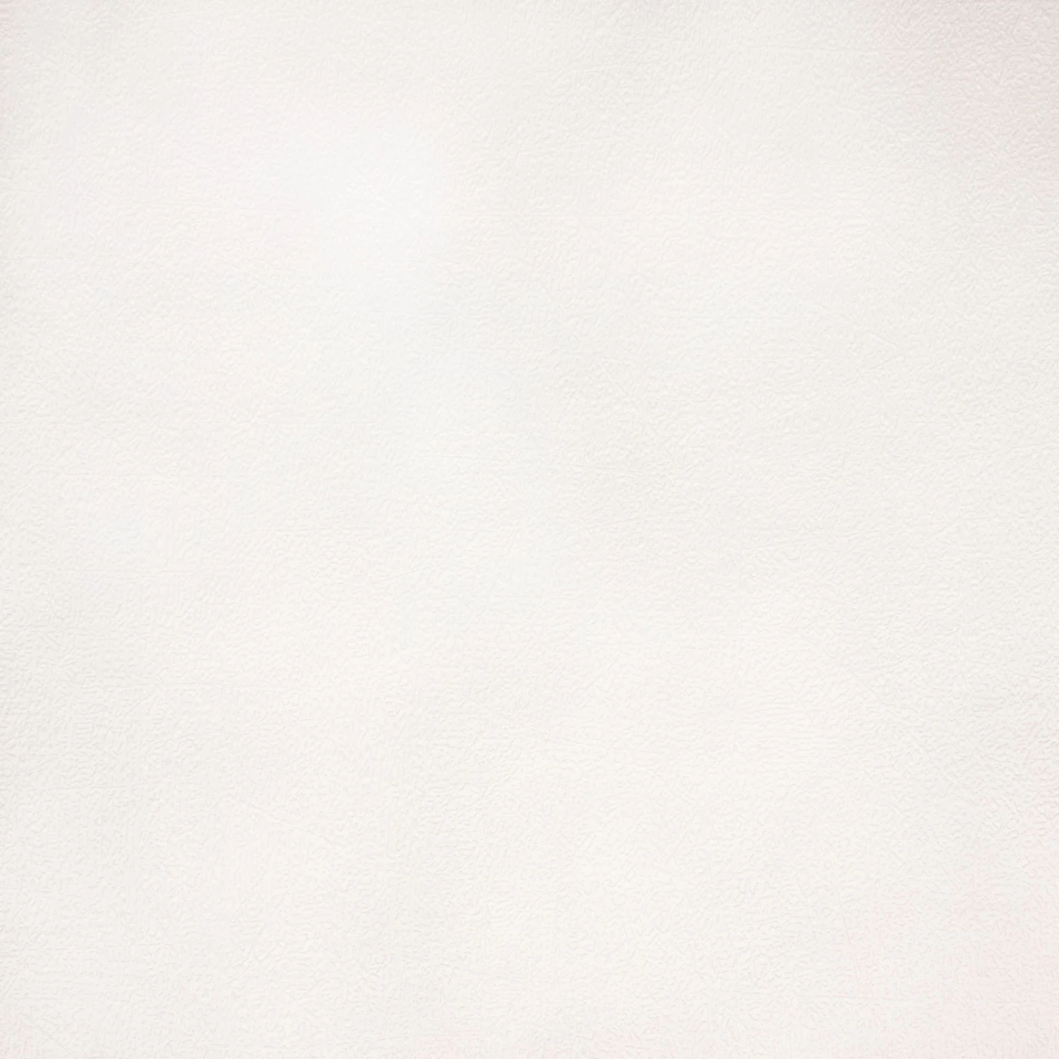 9 Rollen Erfurt Vliesfaser Maxx Beldam 226 Premium 59,63m² 4 9 Rollen Erfurt Vliesfaser Maxx Beldam 226 Premium 59,63m² – Bild 4