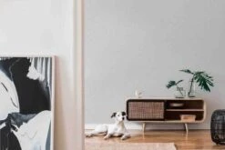 A.S. Creation Tapete Vlies 37744-8 Optik Putz Grau-weiß -A.S. Creation Verkäufe Tapete Vlies 37744 8 Optik Putz grau weiss 63205799 1