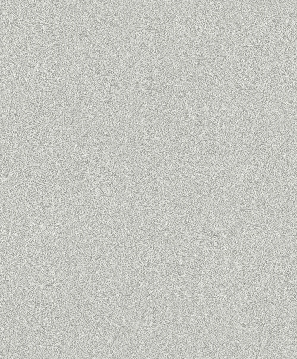 Tapete Vlies Uni Strukturiert Hellgrau Rasch 474930 1 Tapete Vlies Uni Strukturiert Hellgrau Rasch 474930