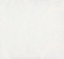 Vliestapete Ranken Weiss Patent Decor 3D 9431